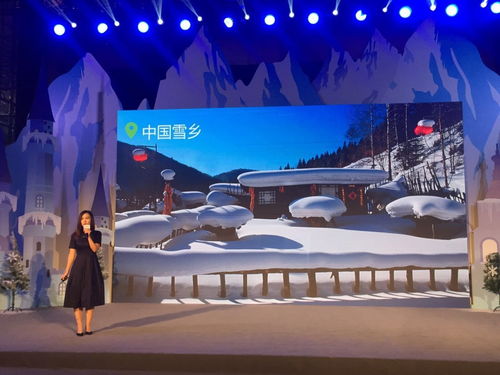 冰雪之冠耀龙江 中国雪乡风采绽放上海推介会，旅行社共谋冬季旅游新篇章